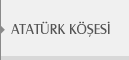 atat�rk k��esi